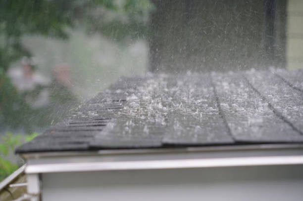 Best Roof Coating and Sealing  in Shell Ridge, CA
