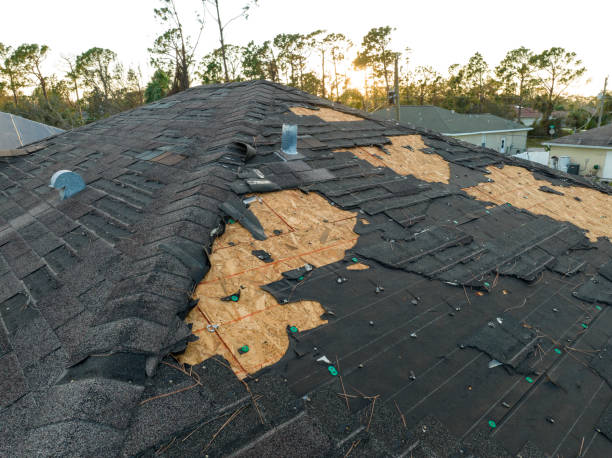 Best Roof Maintenance and Cleaning  in Shell Ridge, CA