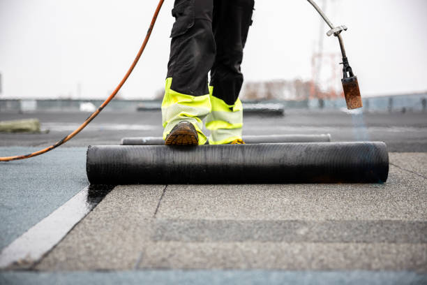 Best Skylight Installation and Repair  in Shell Ridge, CA