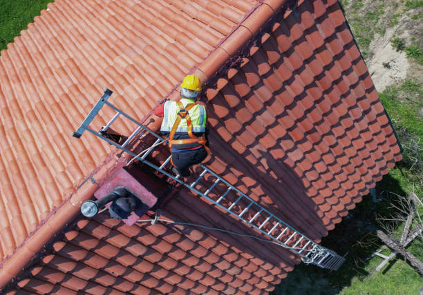Best Asphalt Shingle Roofing  in Shell Ridge, CA