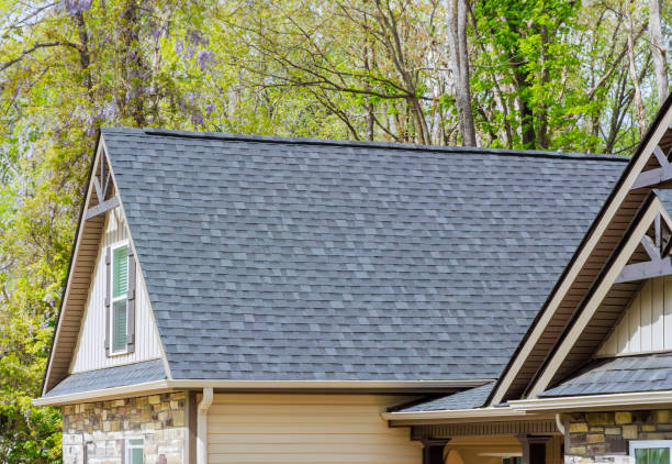 Best Solar Panel Roofing Installation  in Shell Ridge, CA